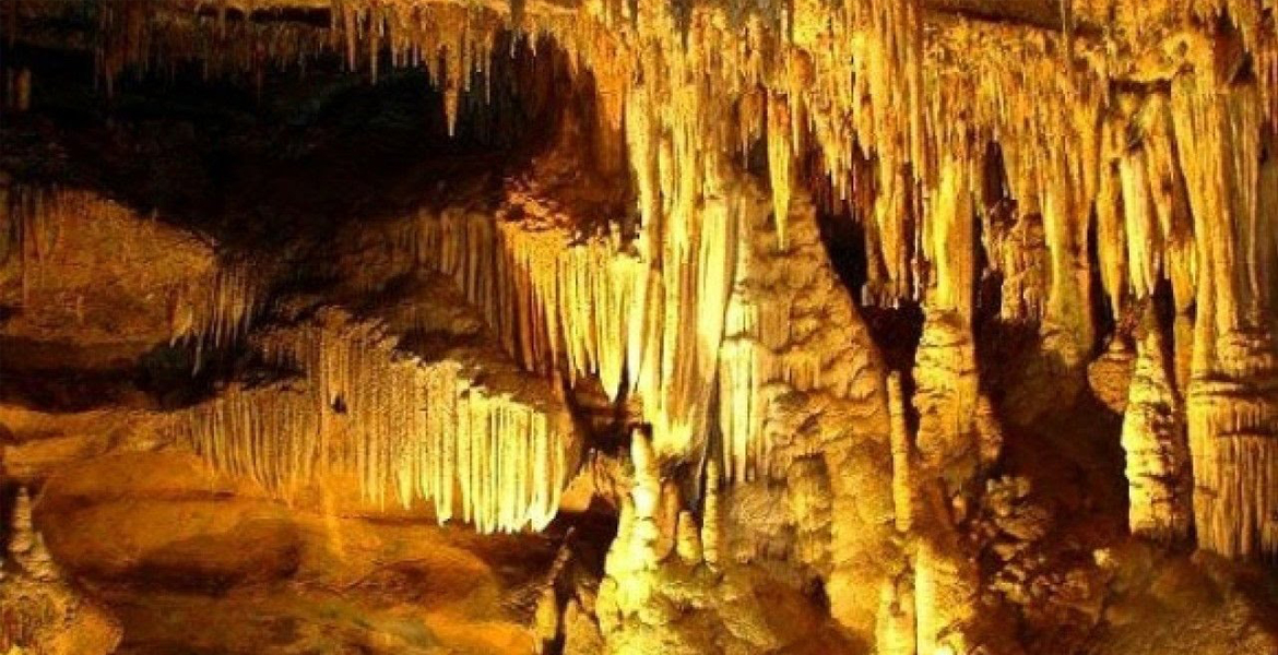 Trang An - Bai Dinh Full Day Tour